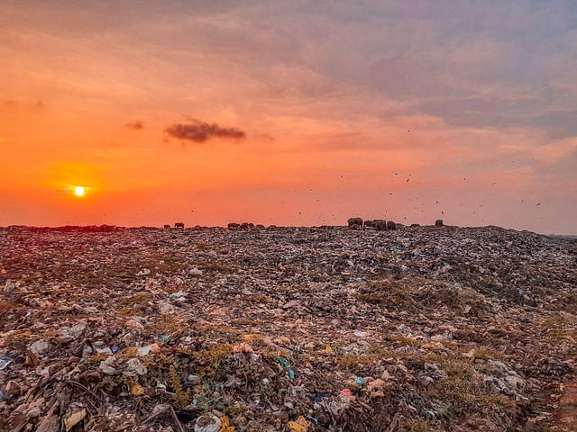 Vuilstort in Alkmaar