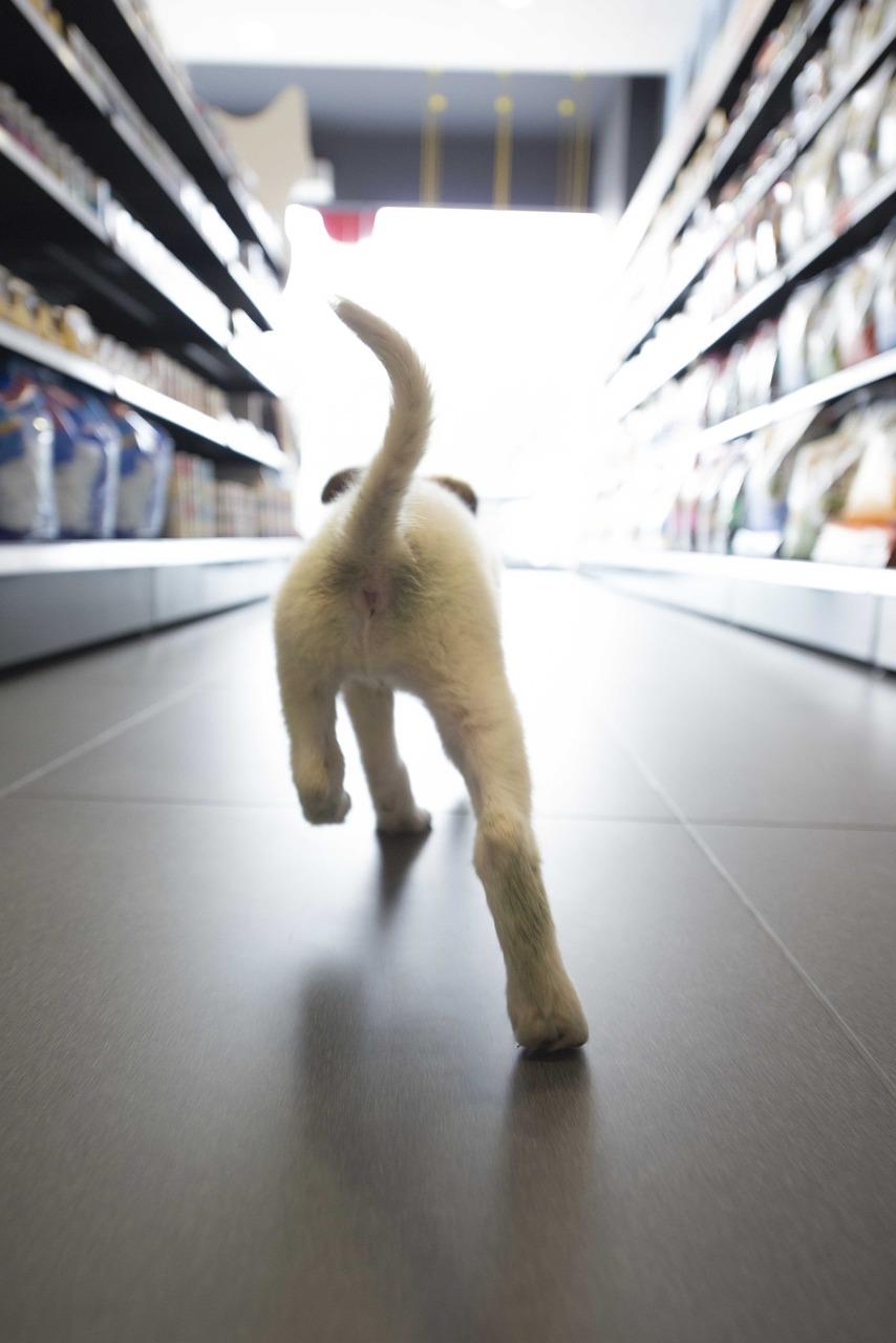 Dierenspeciaalzaak in Alkmaar